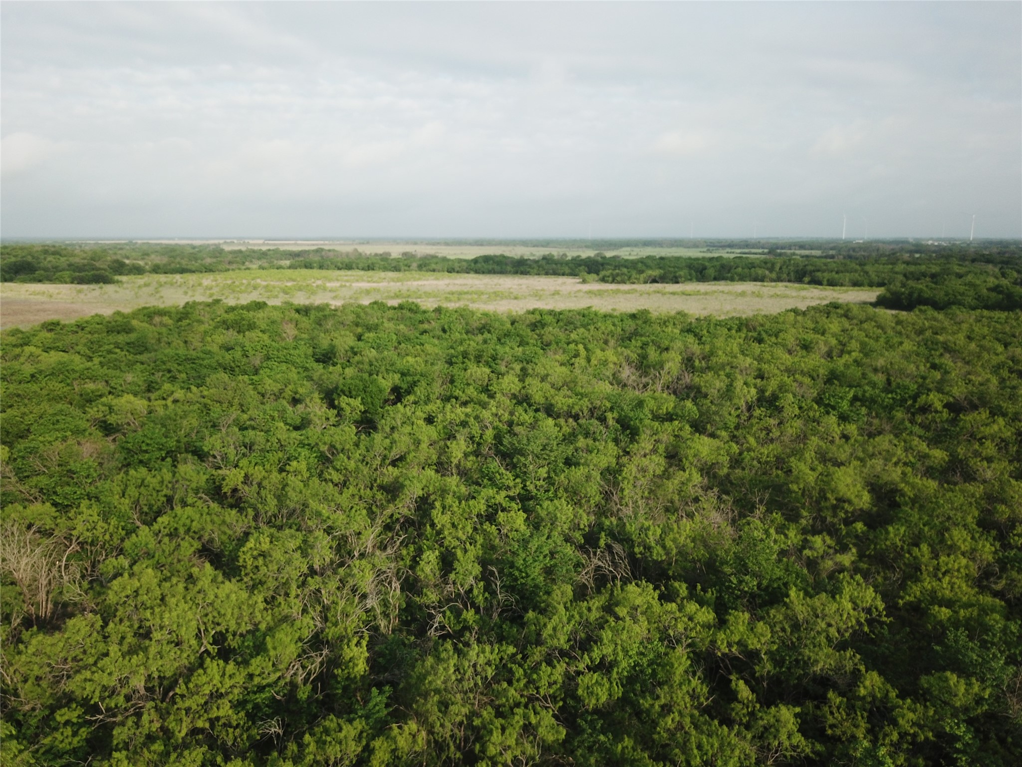 308.64 Acres Lcr 208a Coolidge TX 76635