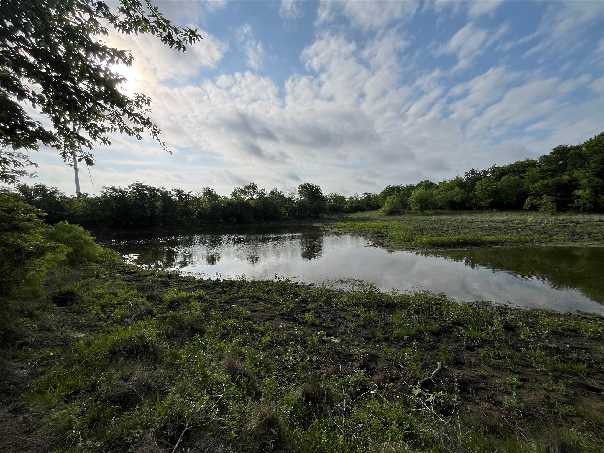 308.64 Acres Lcr 208a Coolidge TX 76635