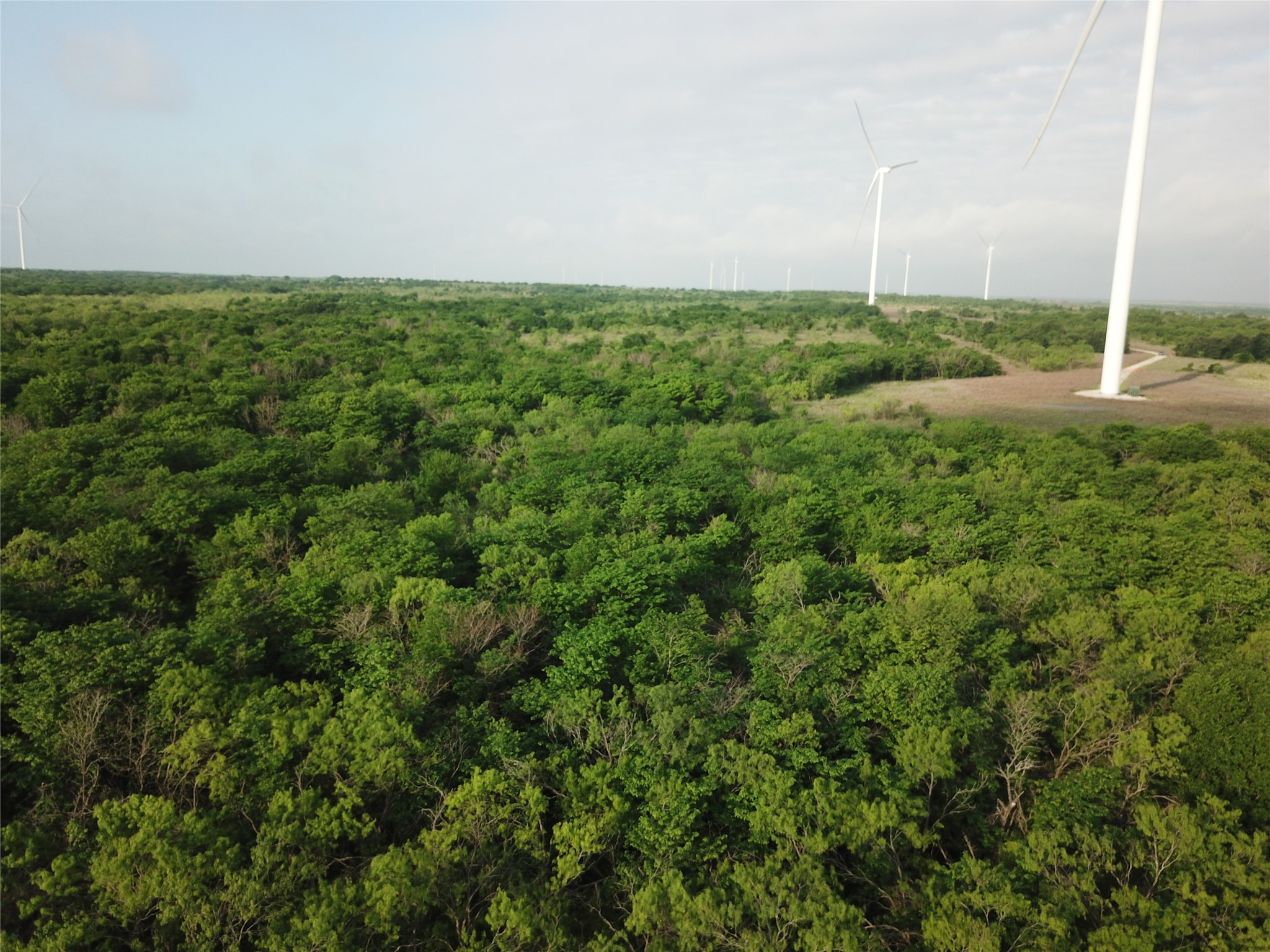 308.64 Acres Lcr 208a Coolidge TX 76635