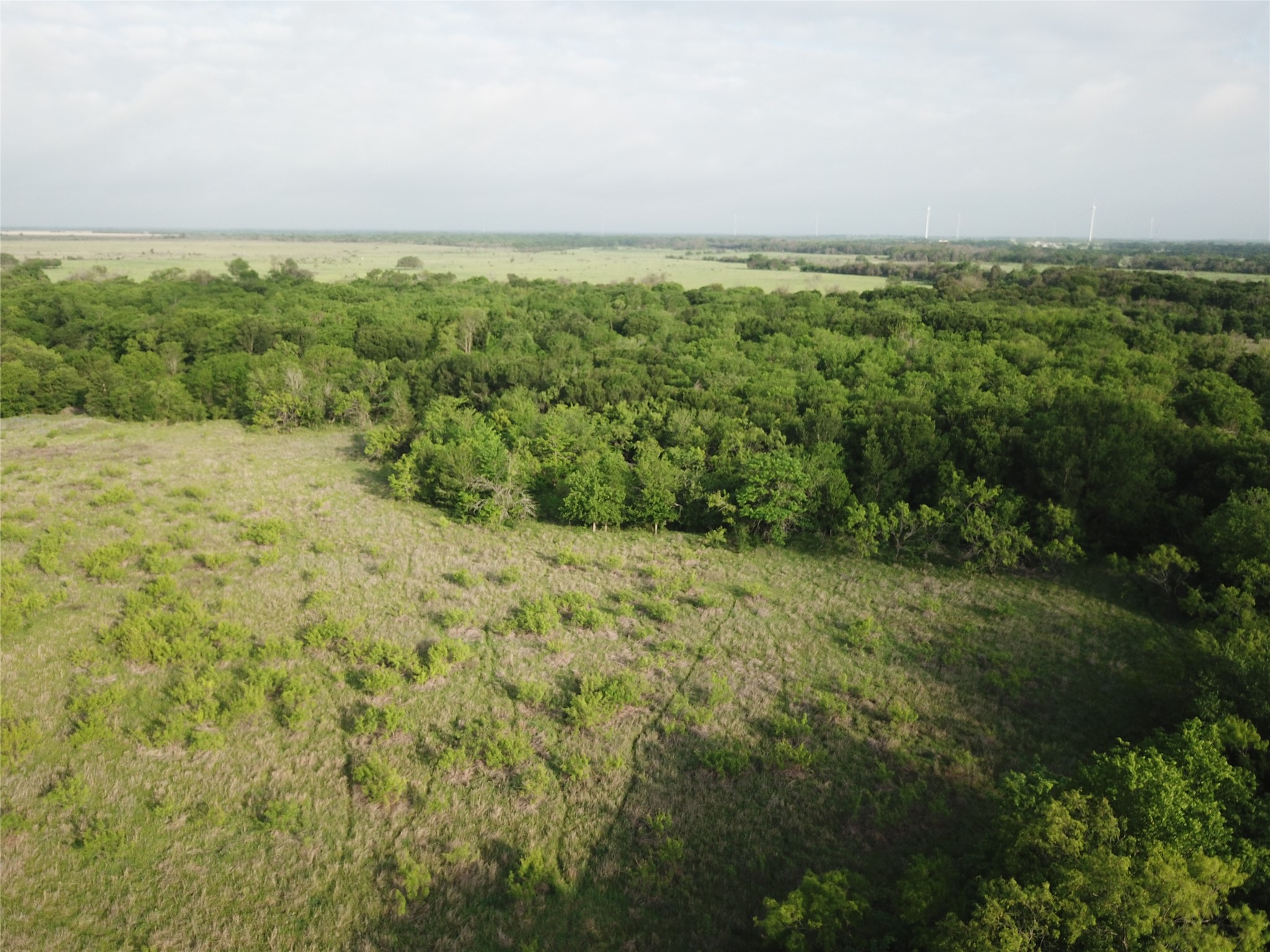 308.64 Acres Lcr 208a Coolidge TX 76635