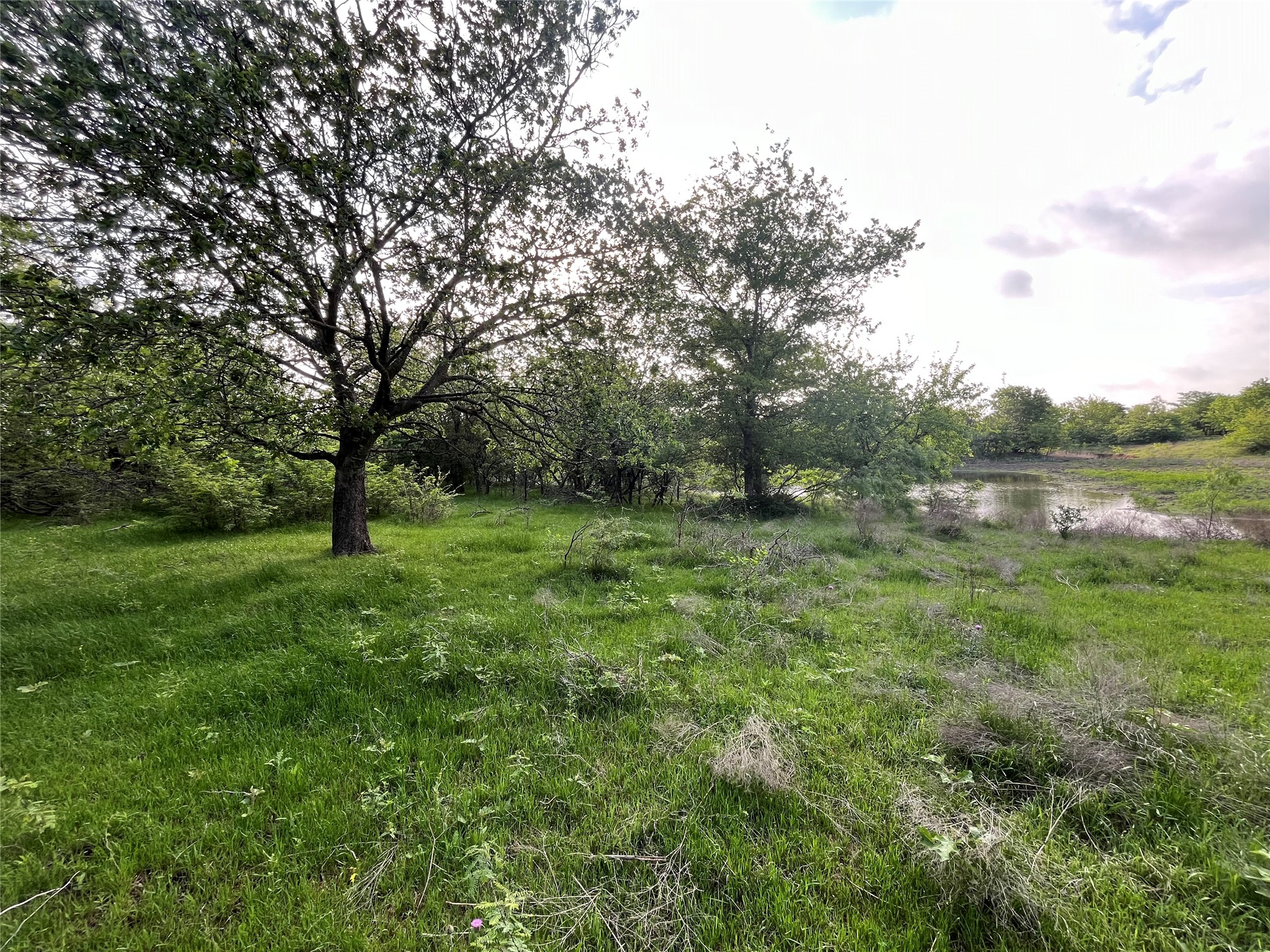 308.64 Acres Lcr 208a Coolidge TX 76635