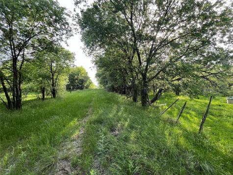 308.64 Acres Lcr 208a Coolidge TX 76635