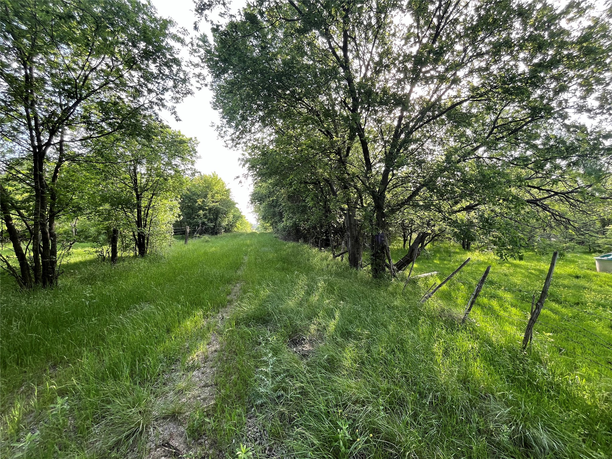 308.64 Acres Lcr 208a Coolidge TX 76635