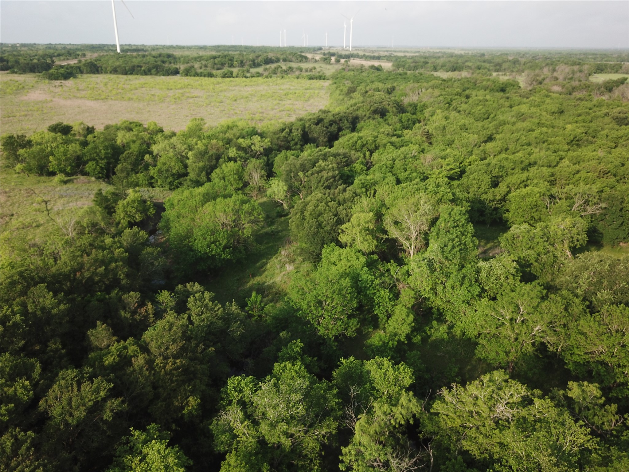 308.64 Acres Lcr 208a Coolidge TX 76635