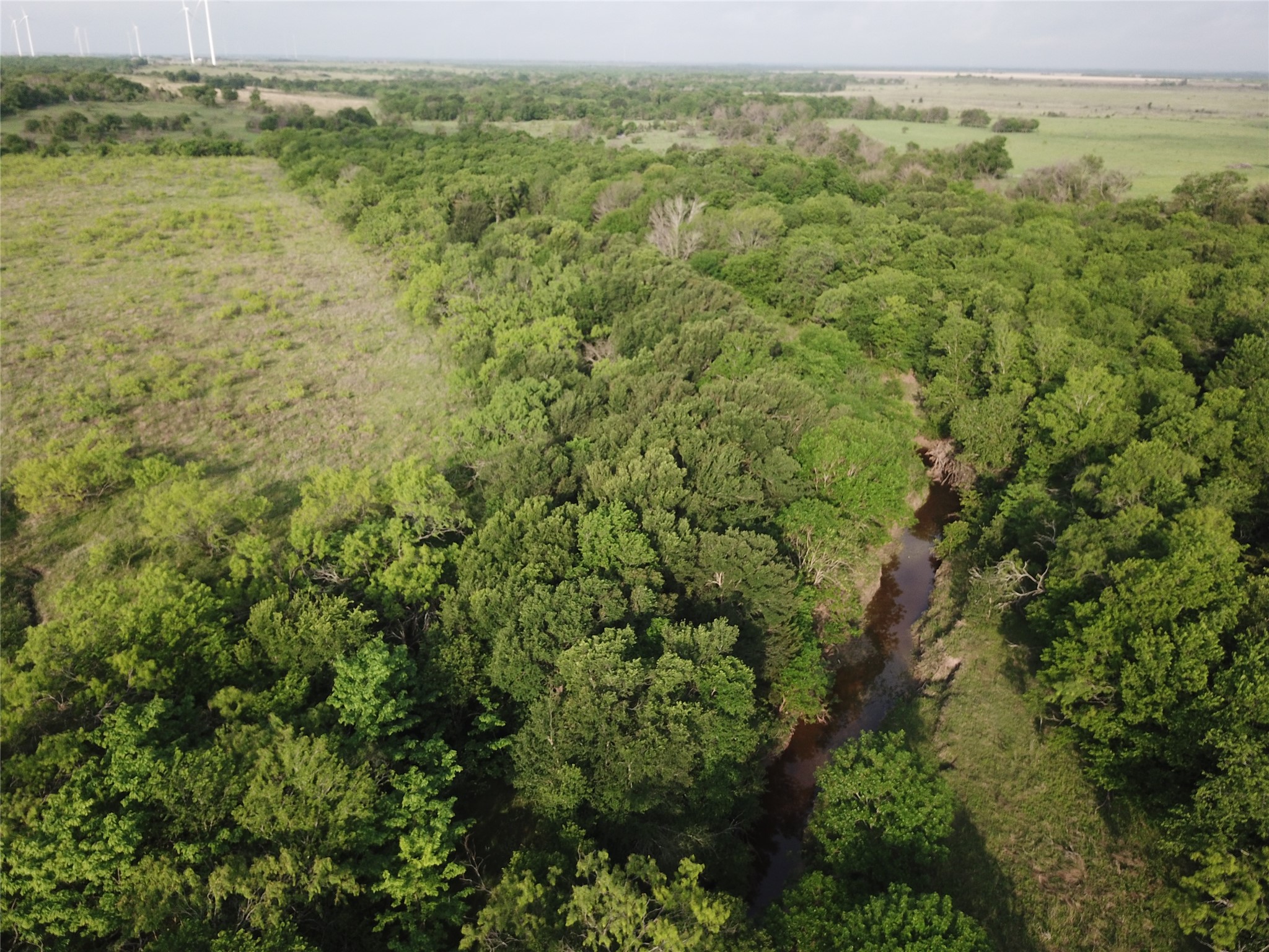 308.64 Acres Lcr 208a Coolidge TX 76635