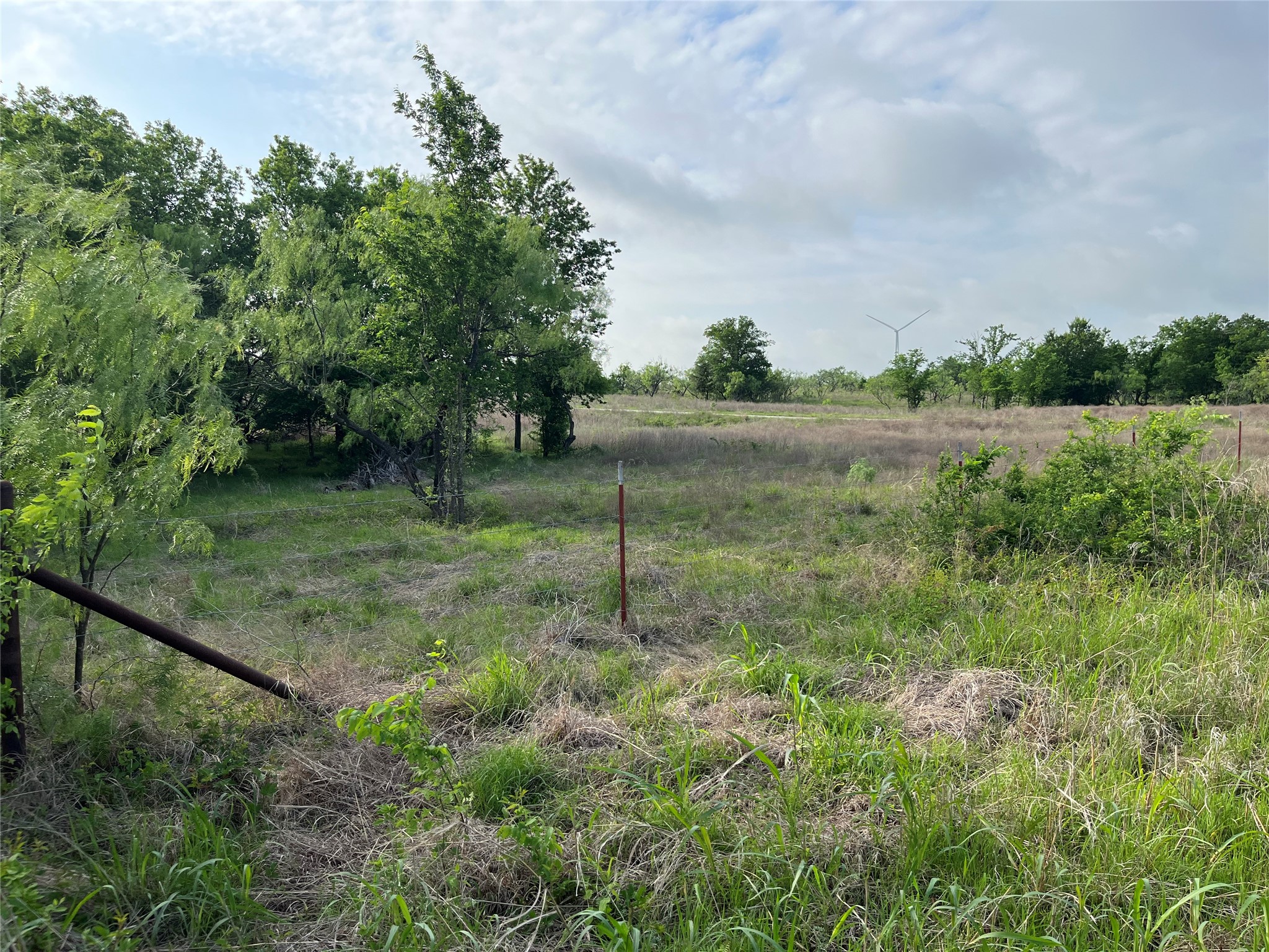 308.64 Acres Lcr 208a Coolidge TX 76635