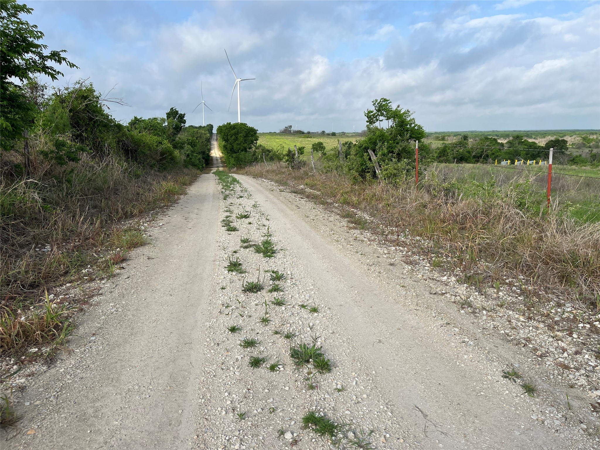 308.64 Acres Lcr 208a Coolidge TX 76635