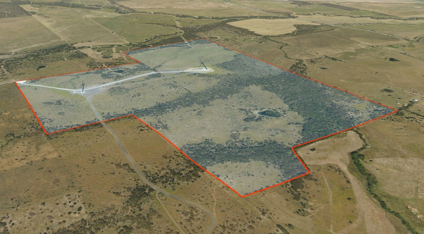 308.64 Acres Lcr 208a Coolidge TX 76635