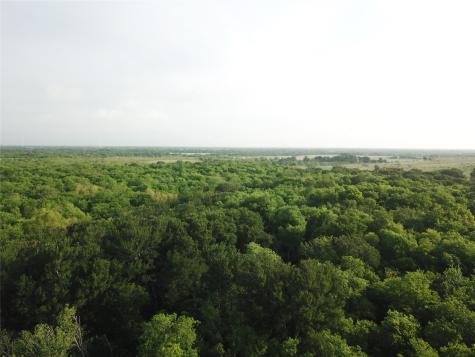 308.64 Acres Lcr 208a Coolidge TX 76635