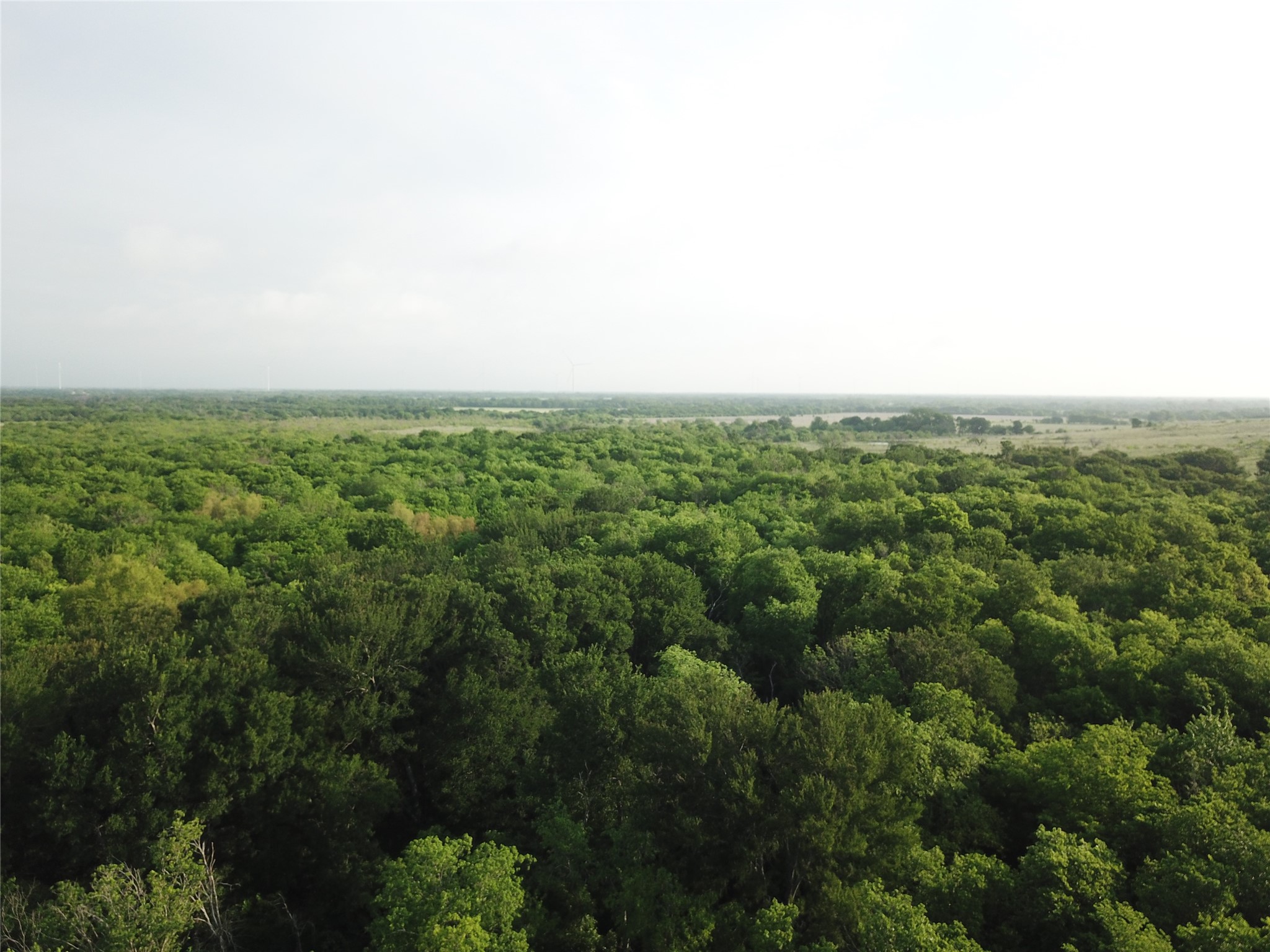 308.64 Acres Lcr 208a Coolidge TX 76635
