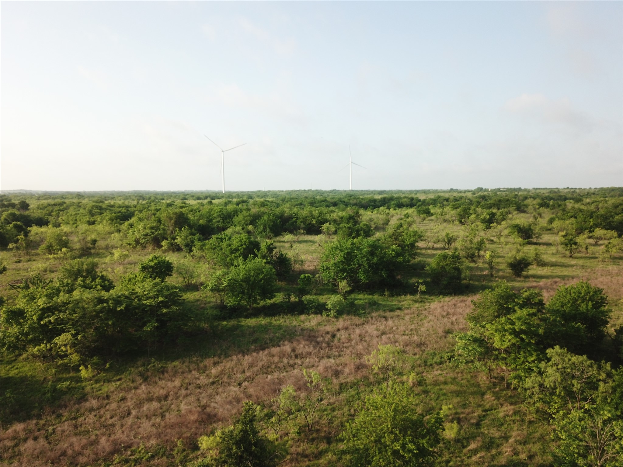 308.64 Acres Lcr 208a Coolidge TX 76635