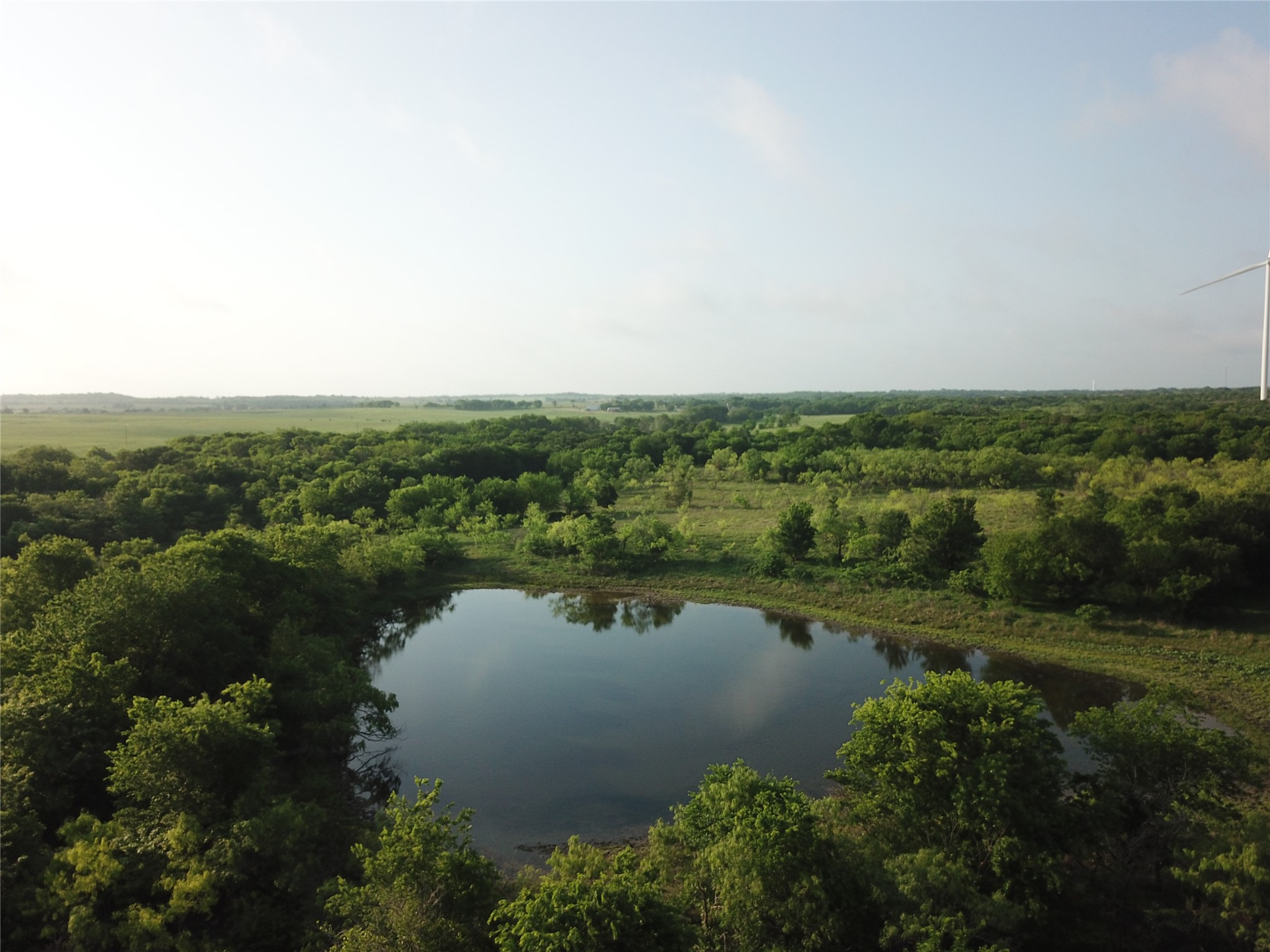 308.64 Acres Lcr 208a Coolidge TX 76635