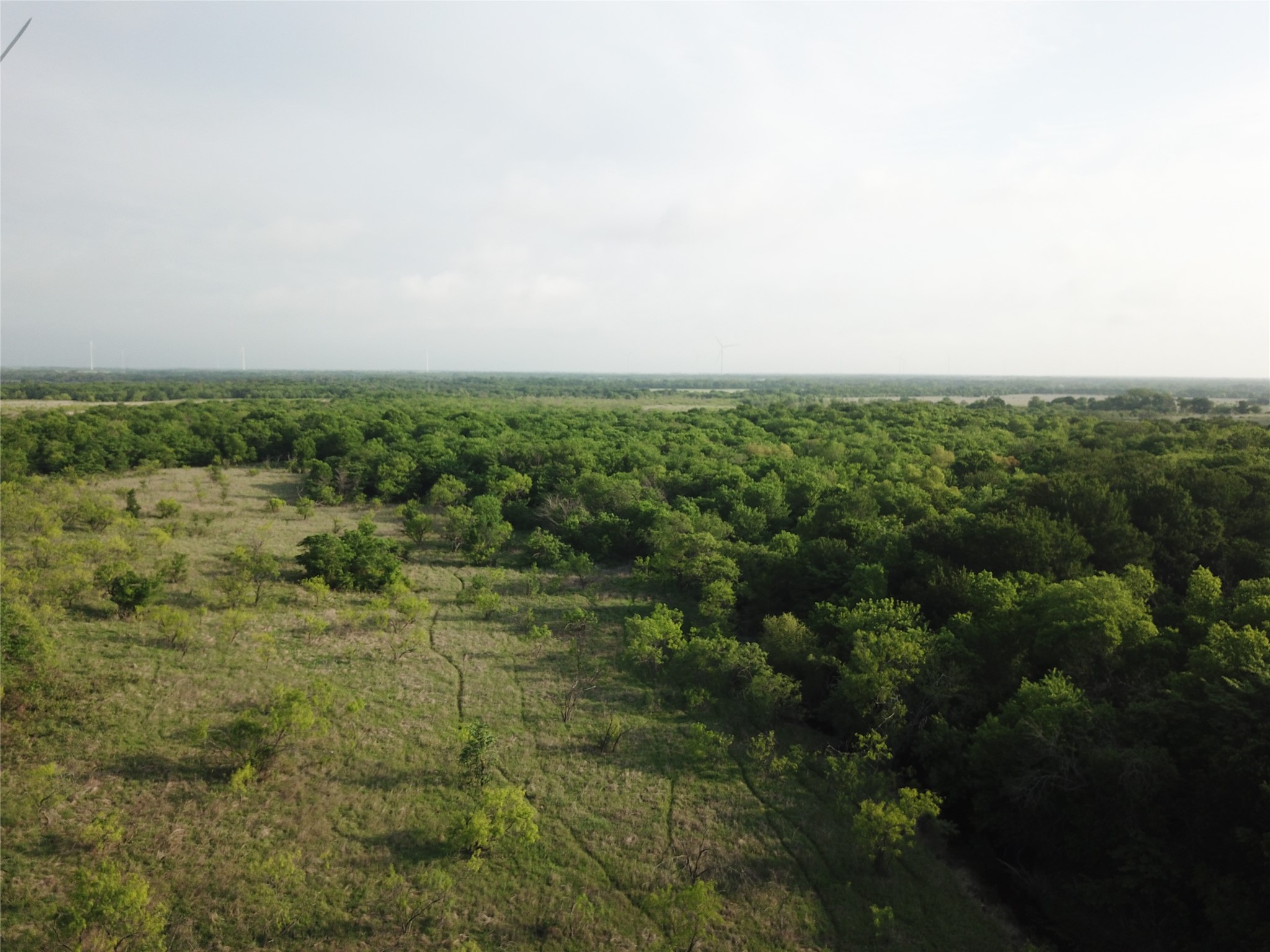 308.64 Acres Lcr 208a Coolidge TX 76635