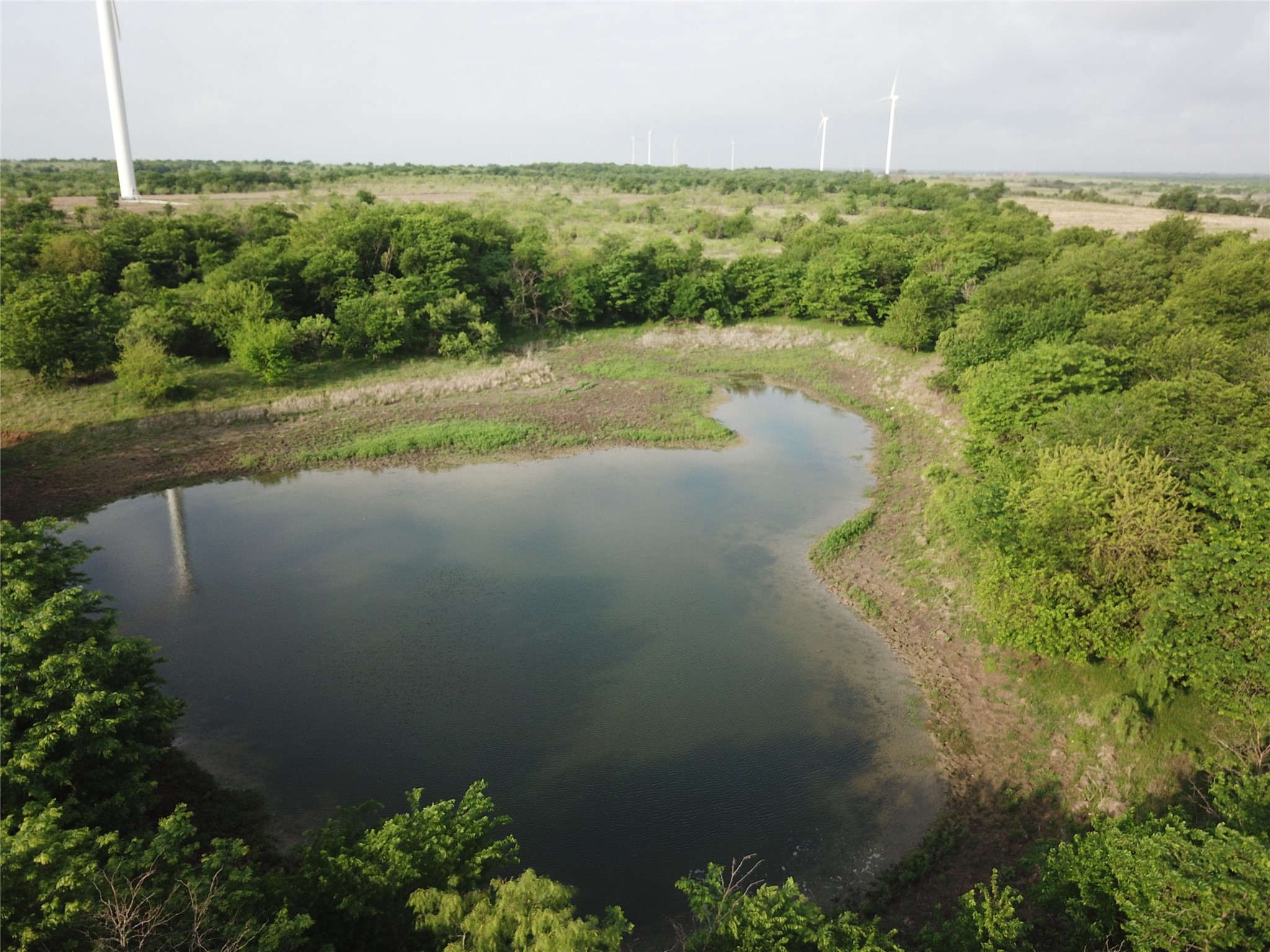308.64 Acres Lcr 208a Coolidge TX 76635