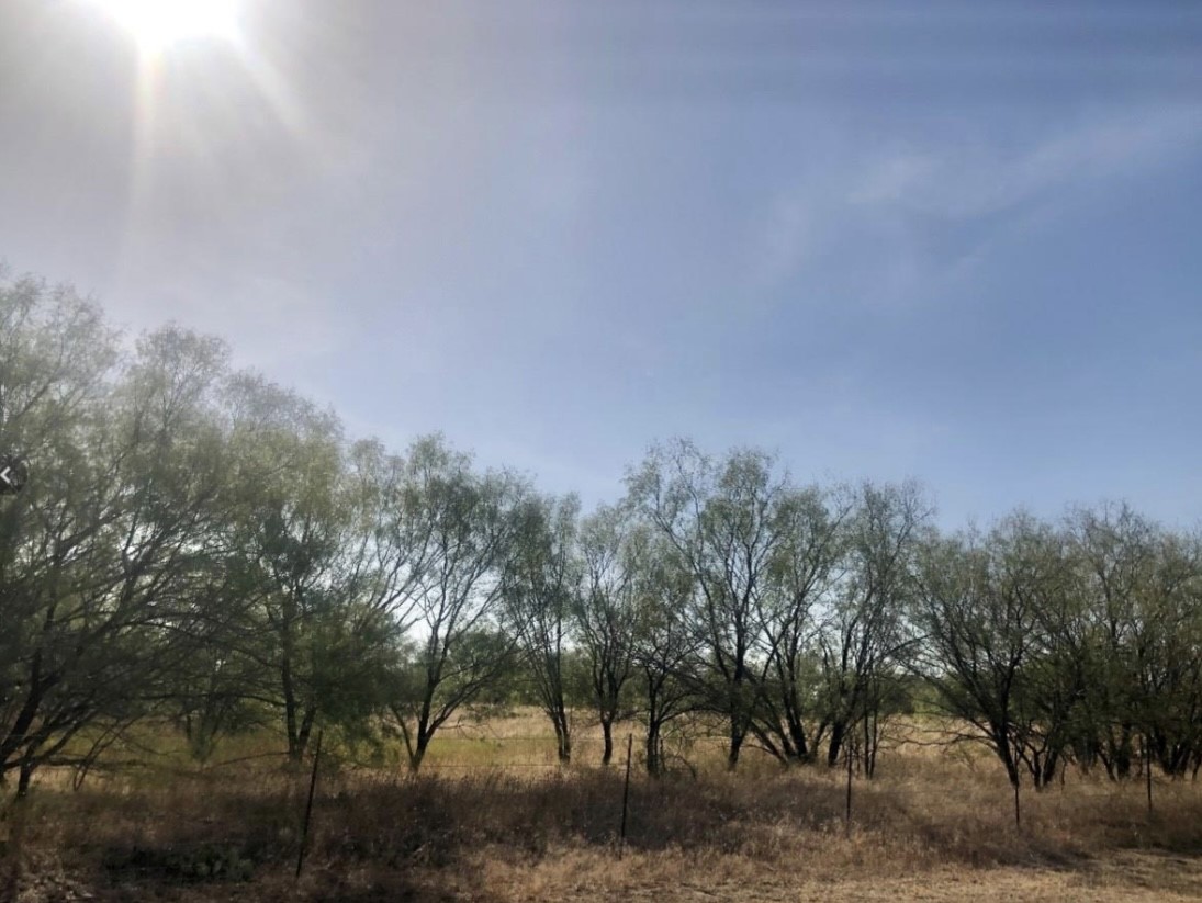 Tbd Fm 266 Gustine TX 76455