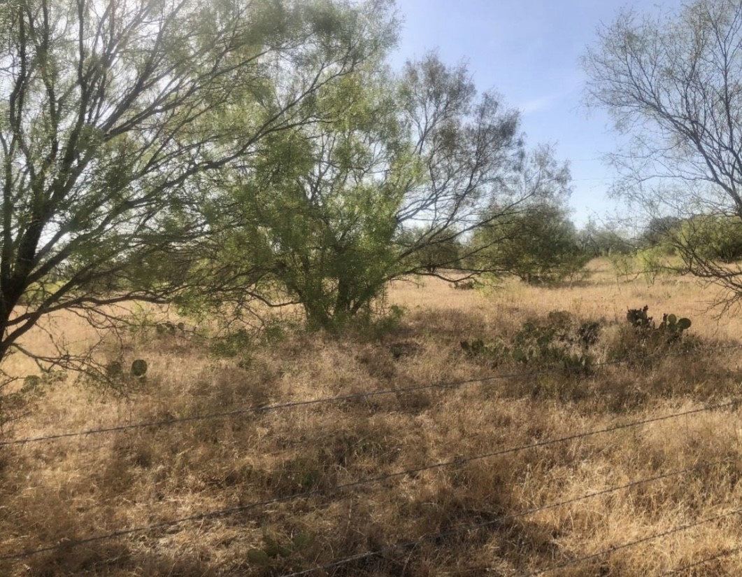 Tbd Fm 266 Gustine TX 76455