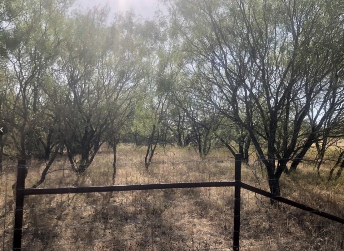 Tbd Fm 266 Gustine TX 76455