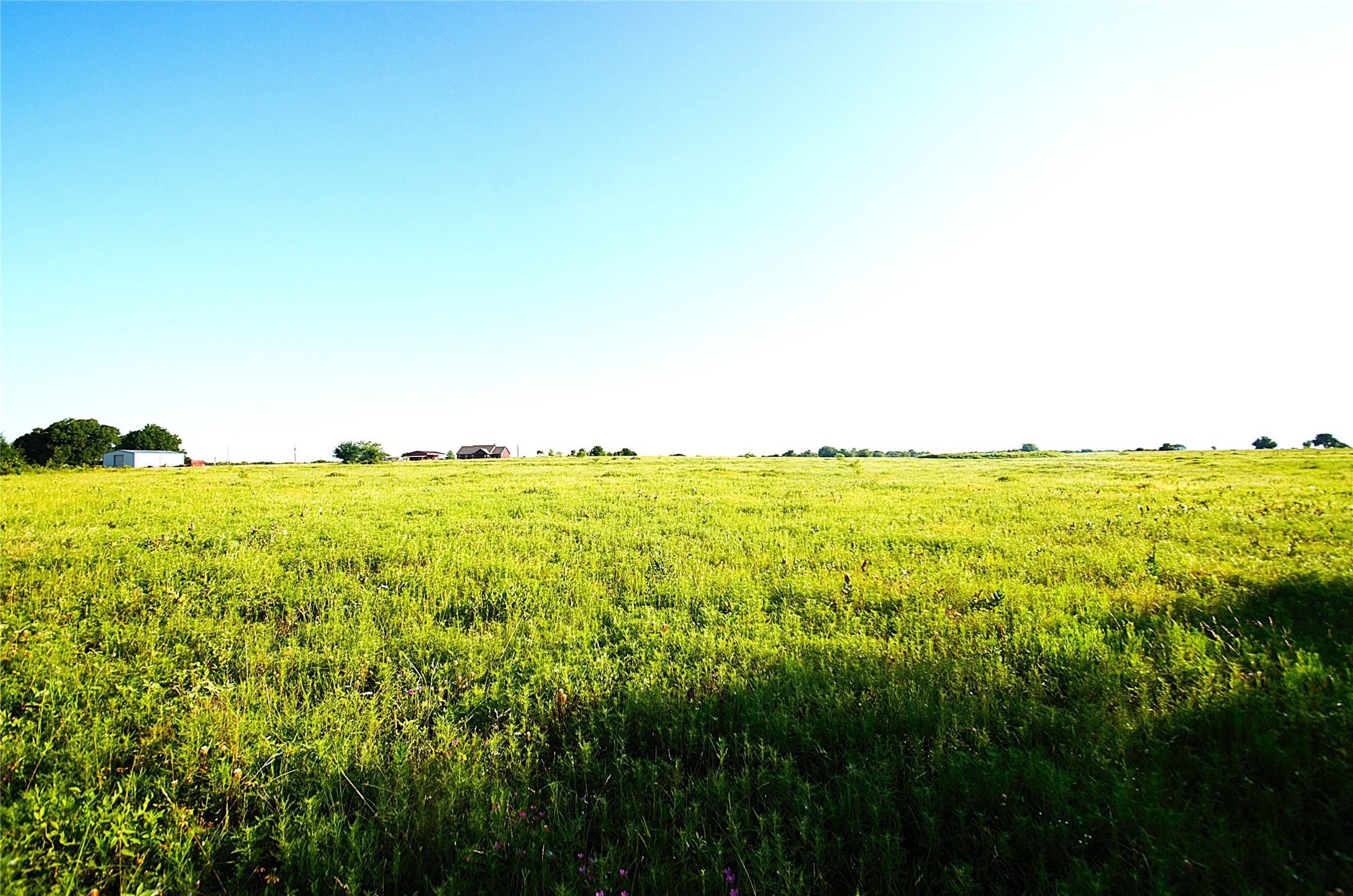 316 Flowing Wells Pottsboro TX 75076