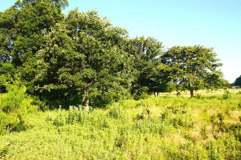 316 Flowing Wells Pottsboro TX 75076