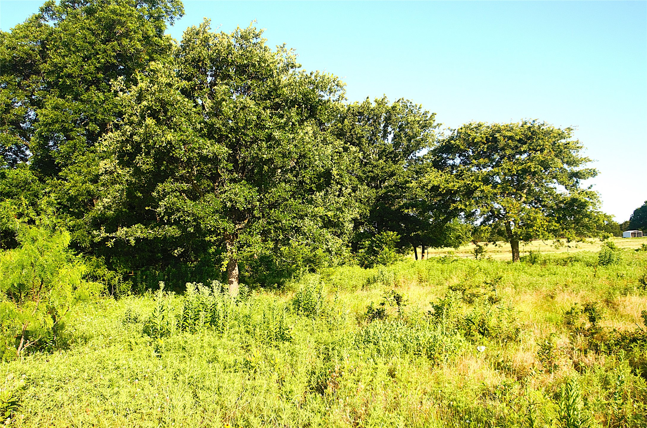 316 Flowing Wells Pottsboro TX 75076