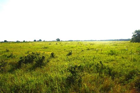 316 Flowing Wells Pottsboro TX 75076