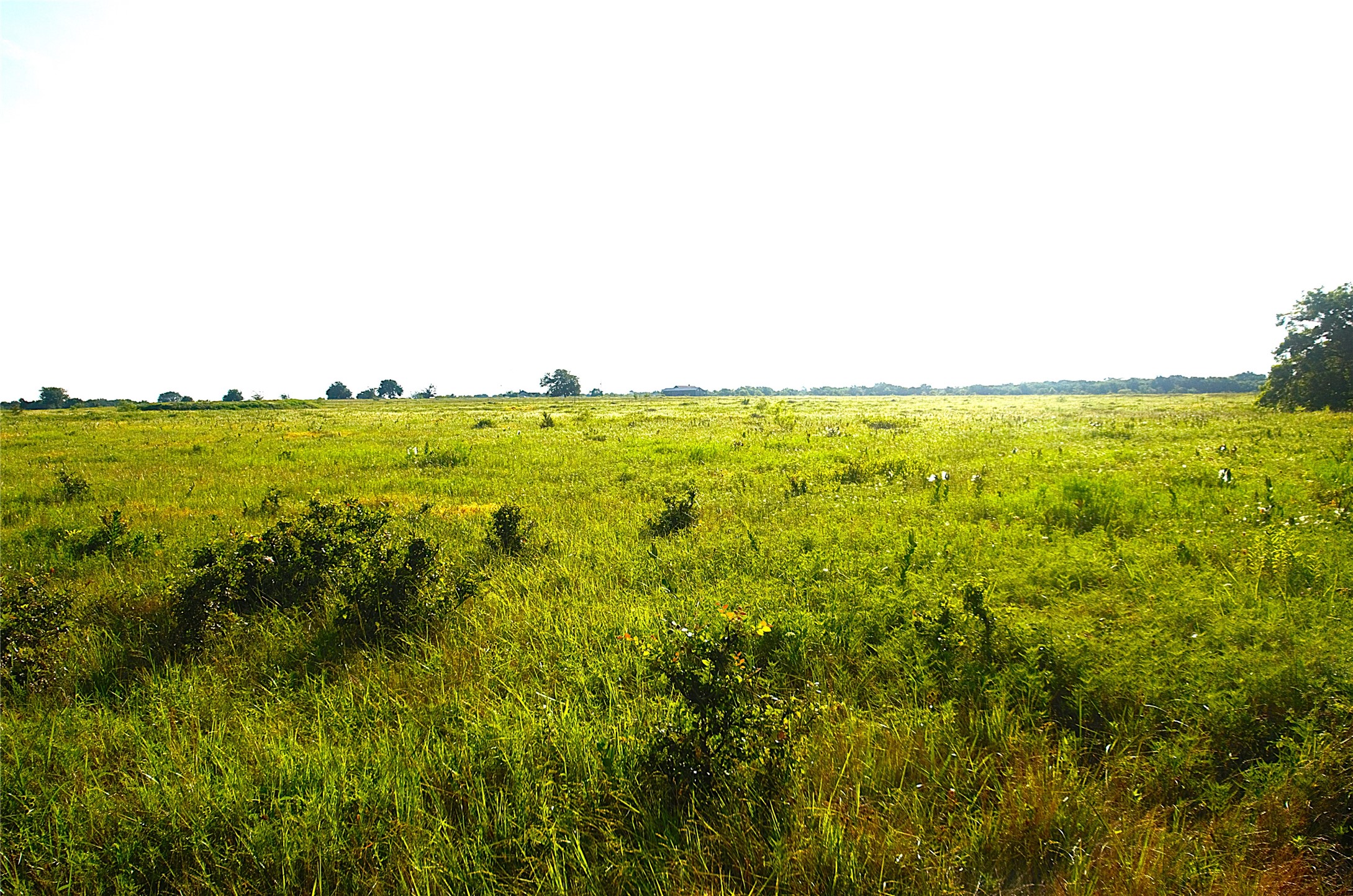 316 Flowing Wells Pottsboro TX 75076