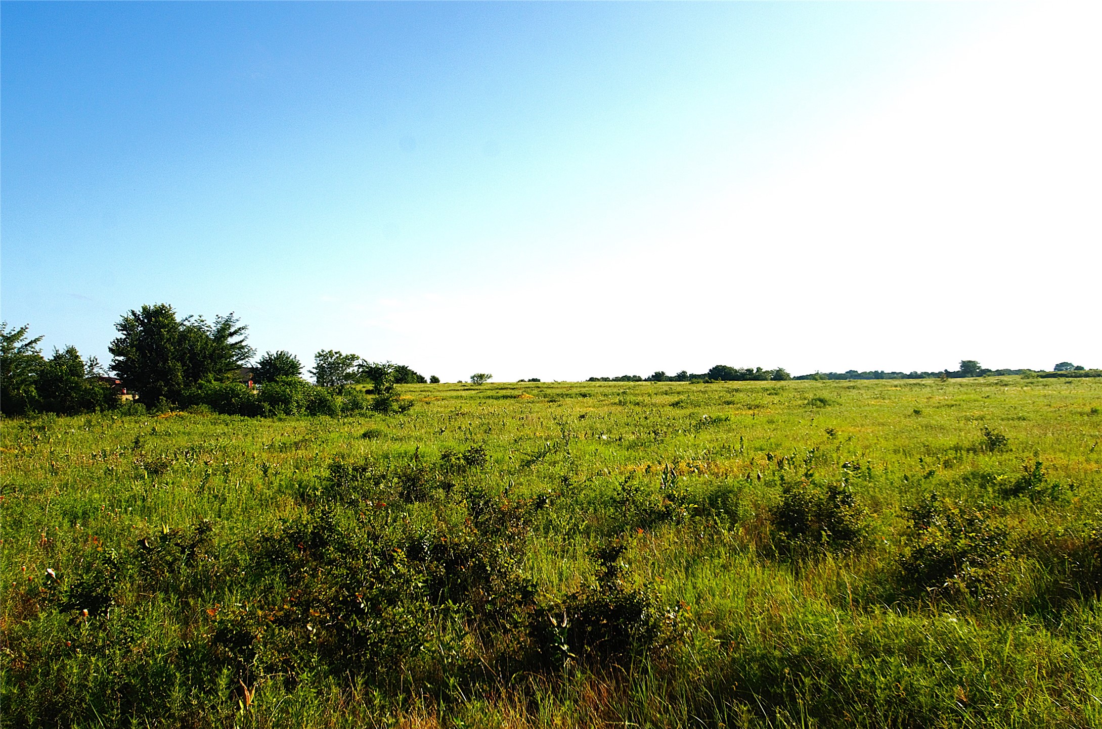 316 Flowing Wells Pottsboro TX 75076