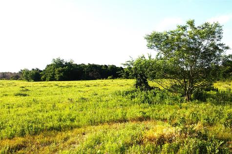 316 Flowing Wells Pottsboro TX 75076