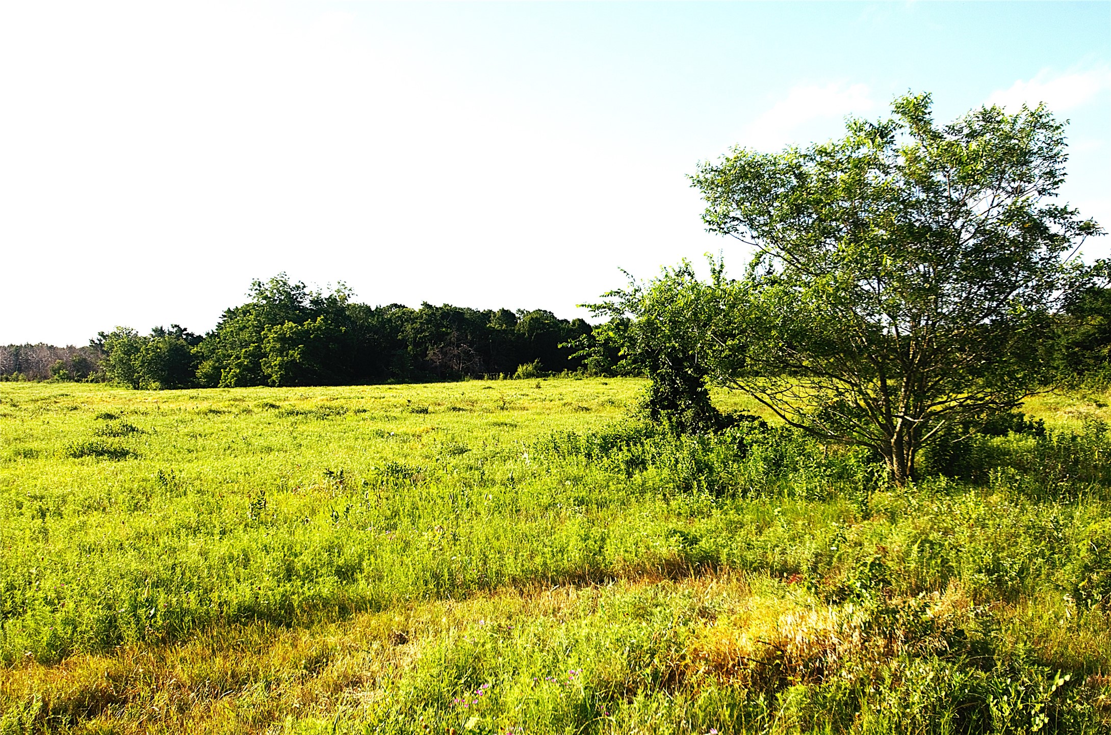 316 Flowing Wells Pottsboro TX 75076