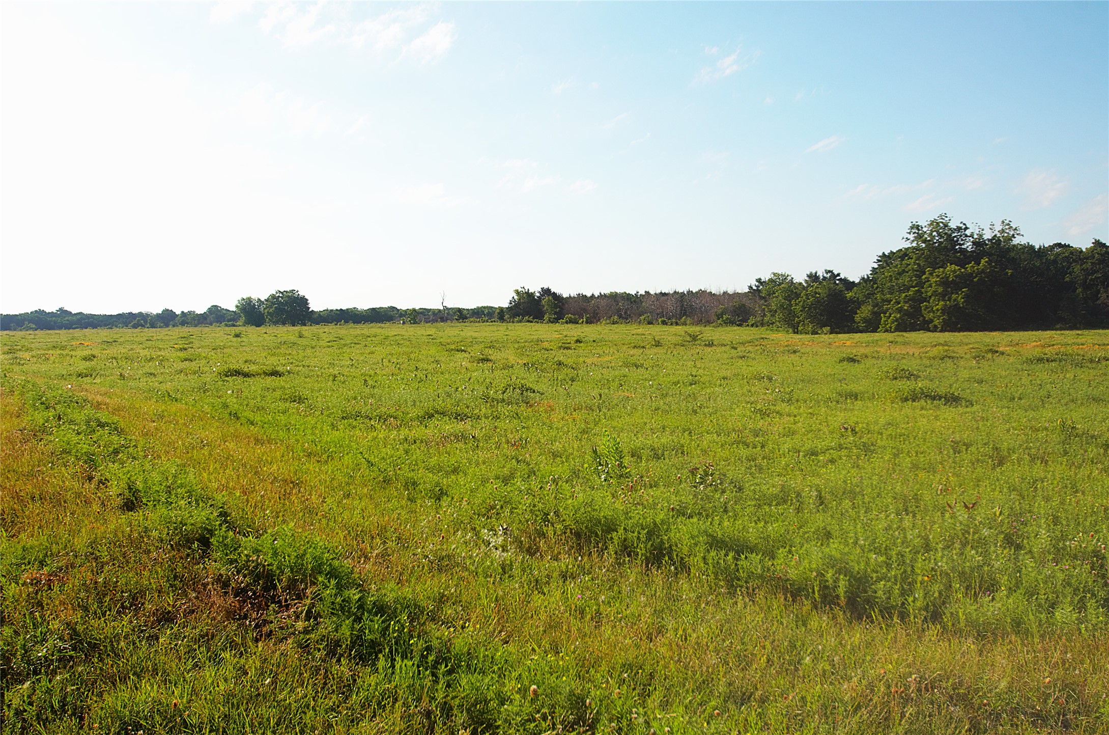 316 Flowing Wells Pottsboro TX 75076