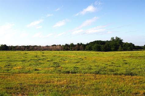 316 Flowing Wells Pottsboro TX 75076