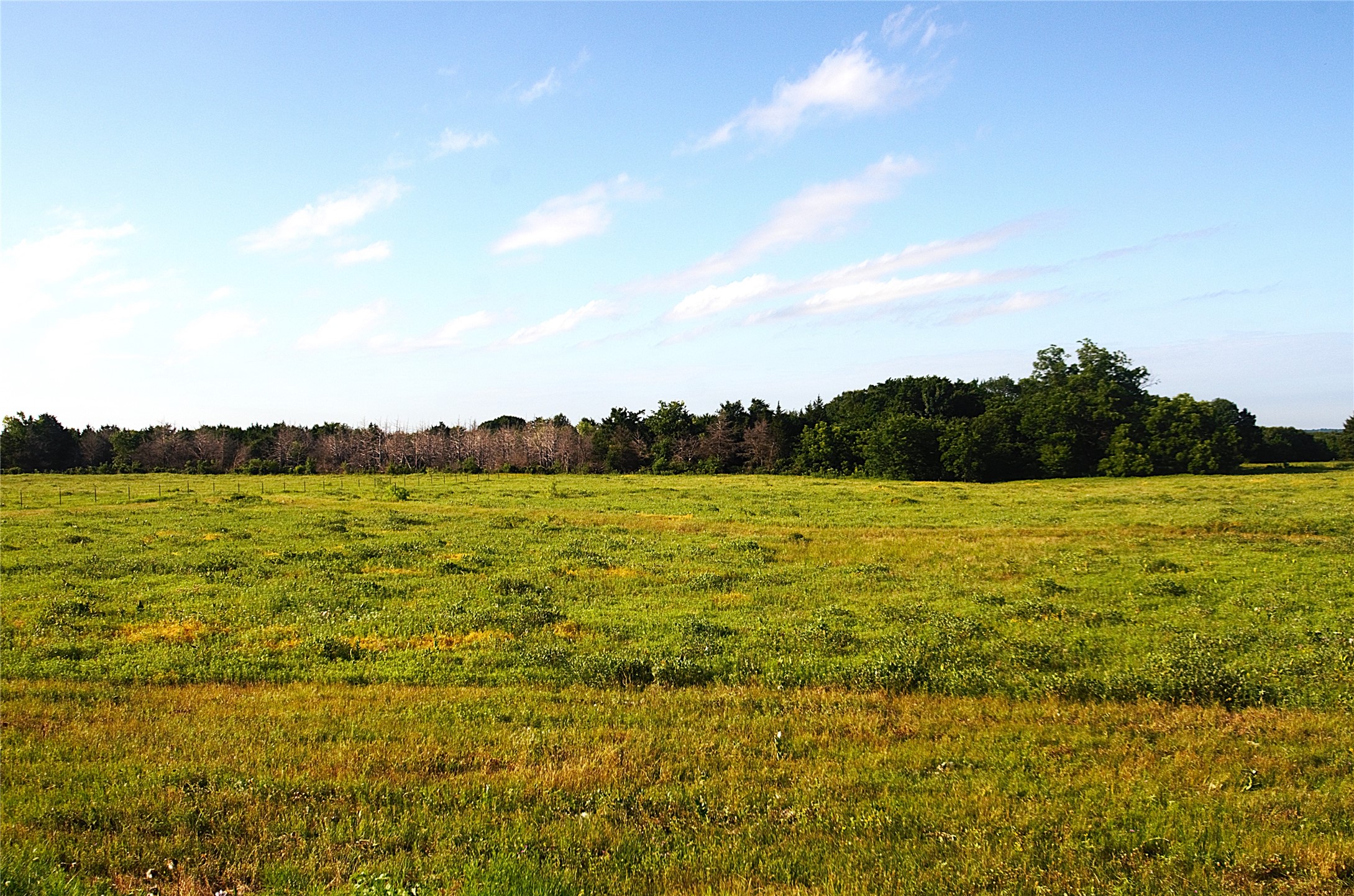 316 Flowing Wells Pottsboro TX 75076