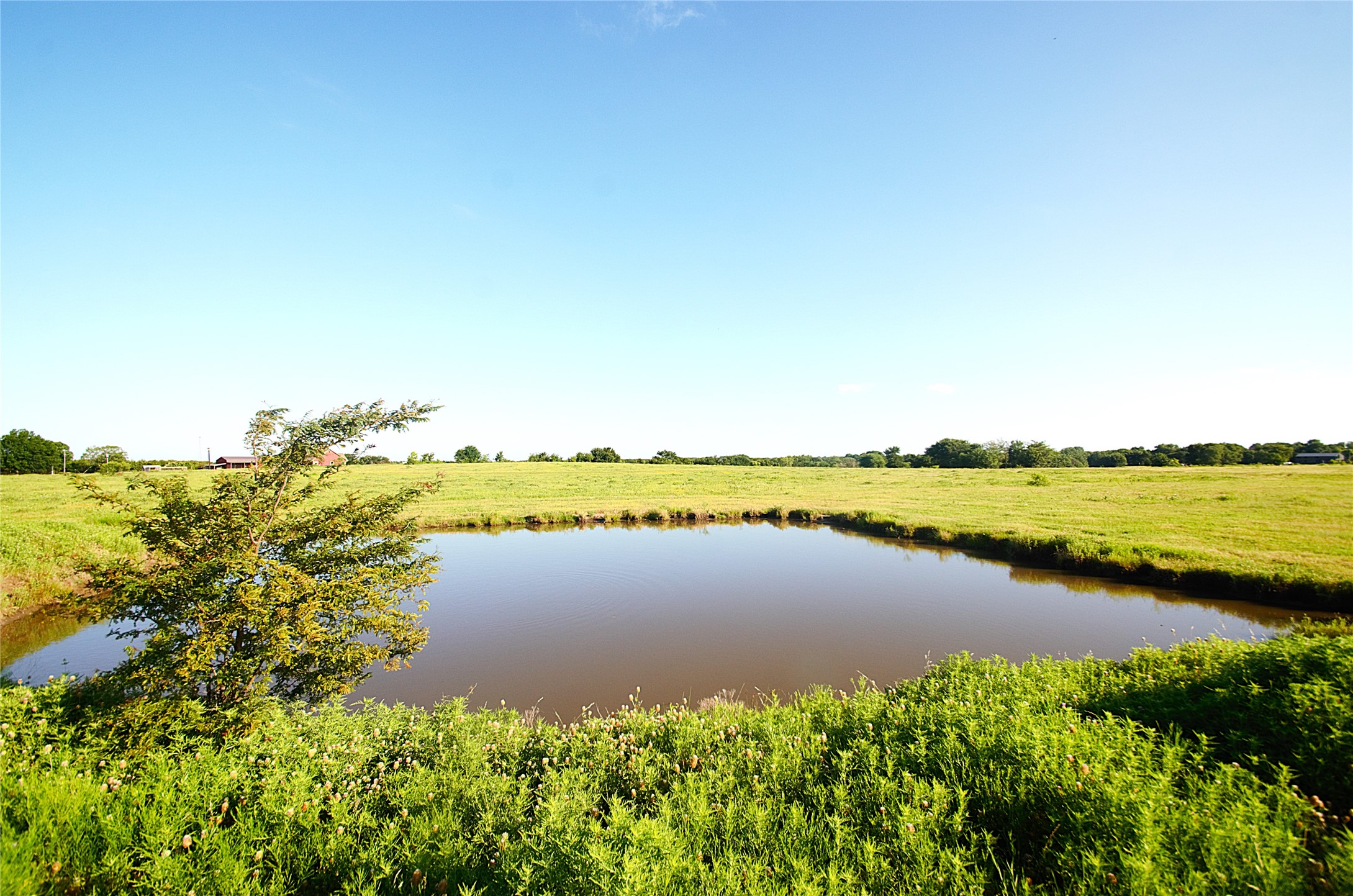 316 Flowing Wells Pottsboro TX 75076