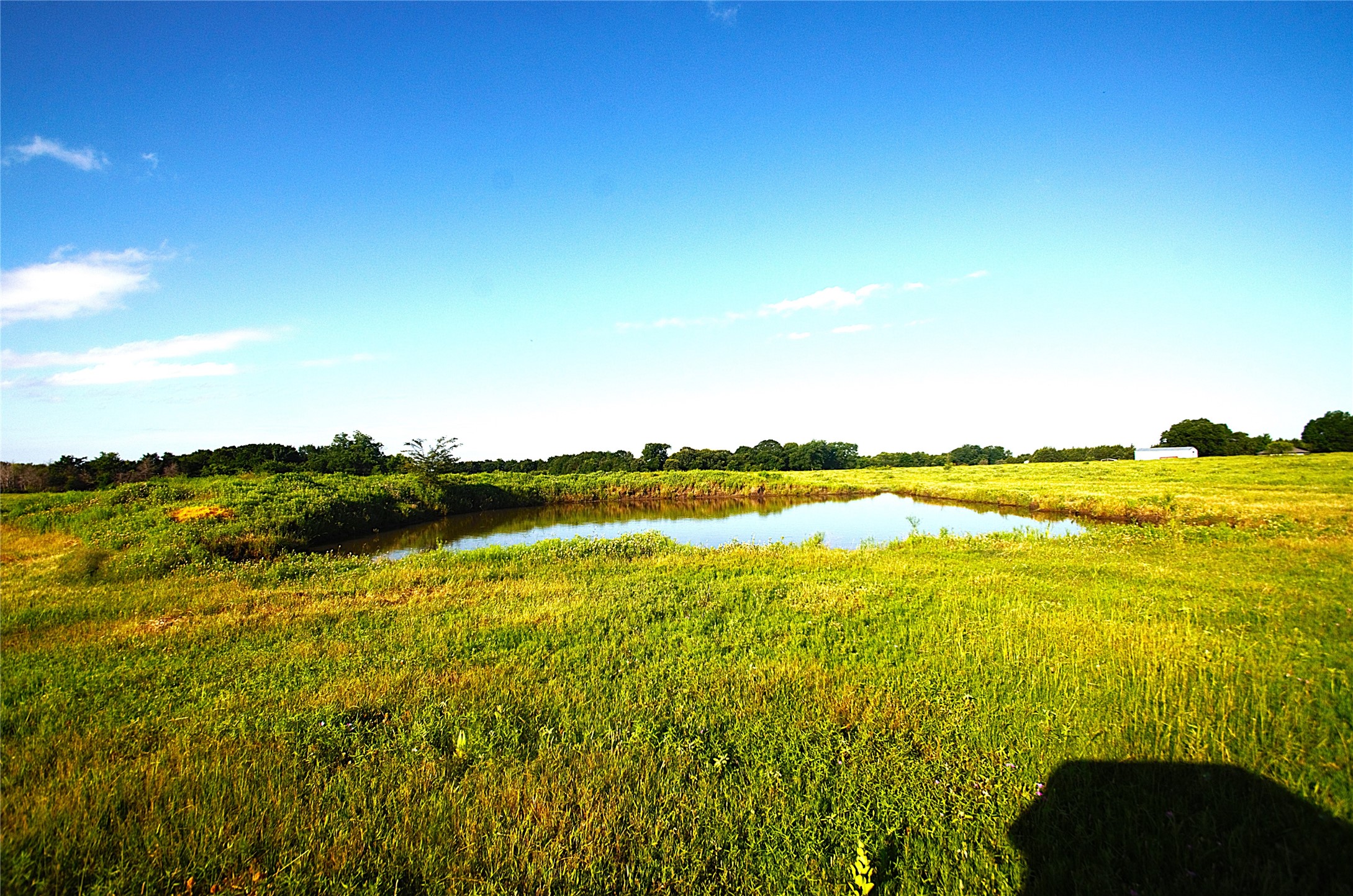 316 Flowing Wells Pottsboro TX 75076