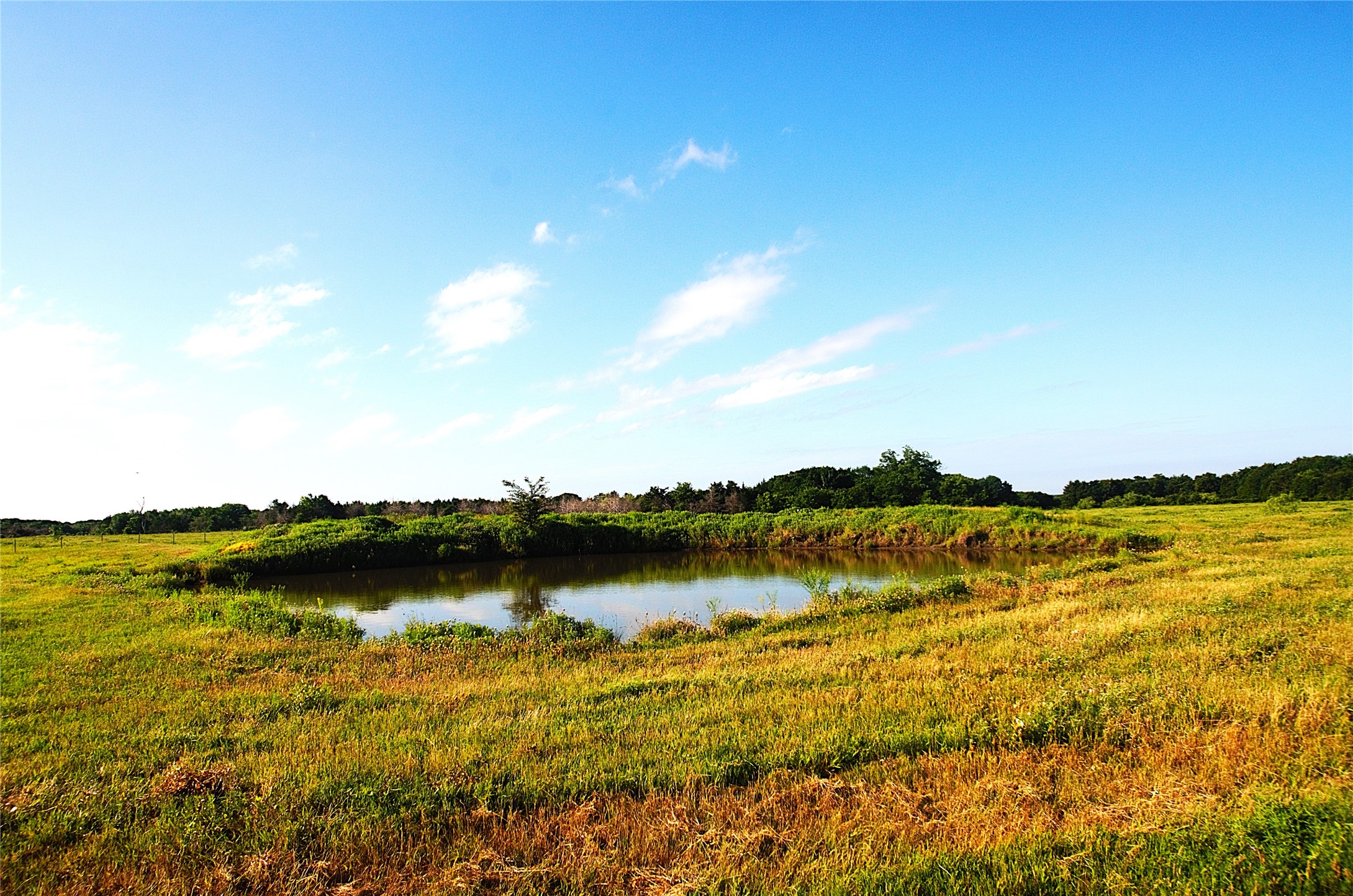 316 Flowing Wells Pottsboro TX 75076