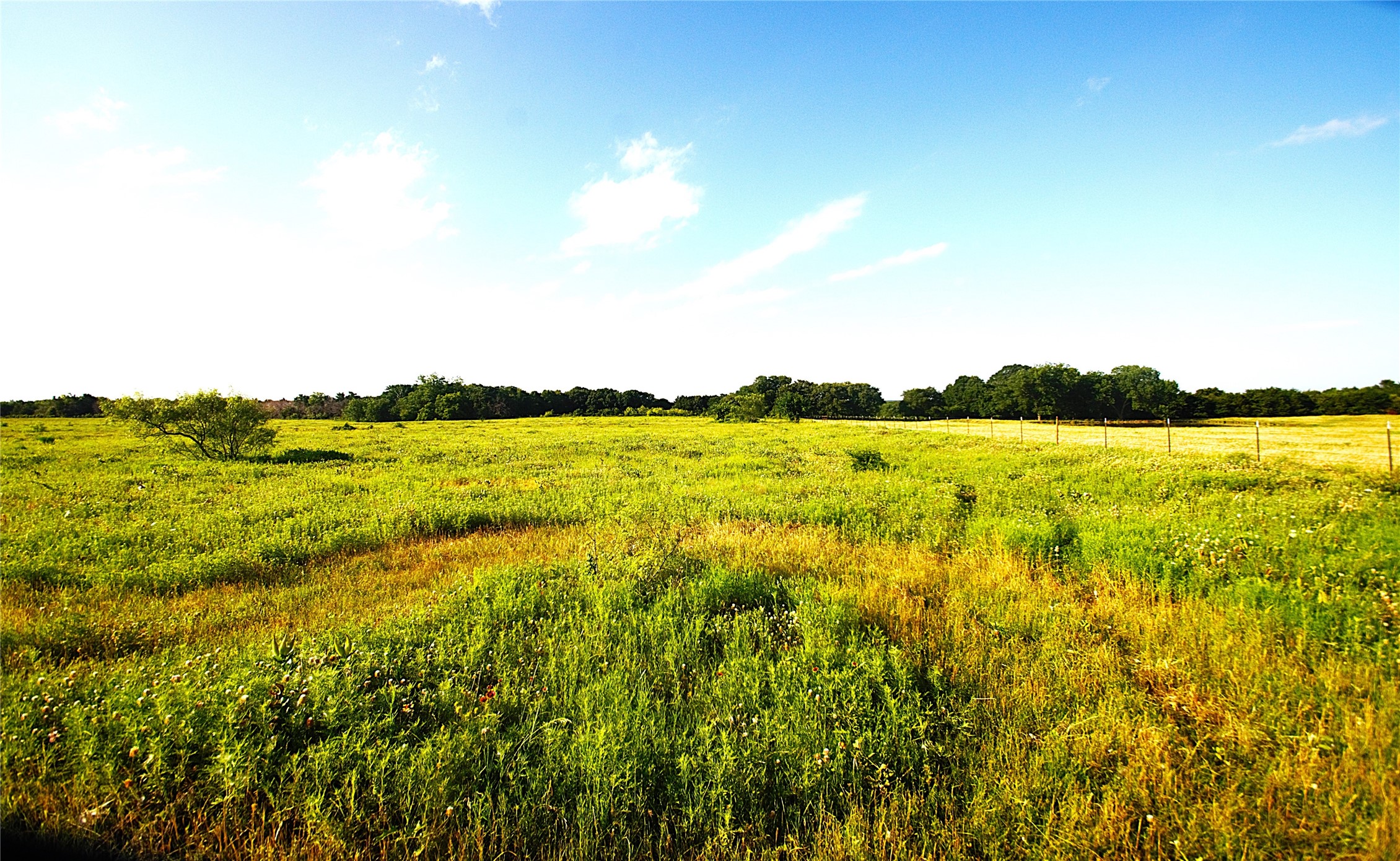 316 Flowing Wells Pottsboro TX 75076