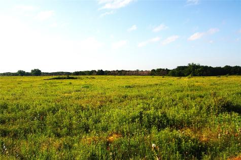 316 Flowing Wells Pottsboro TX 75076
