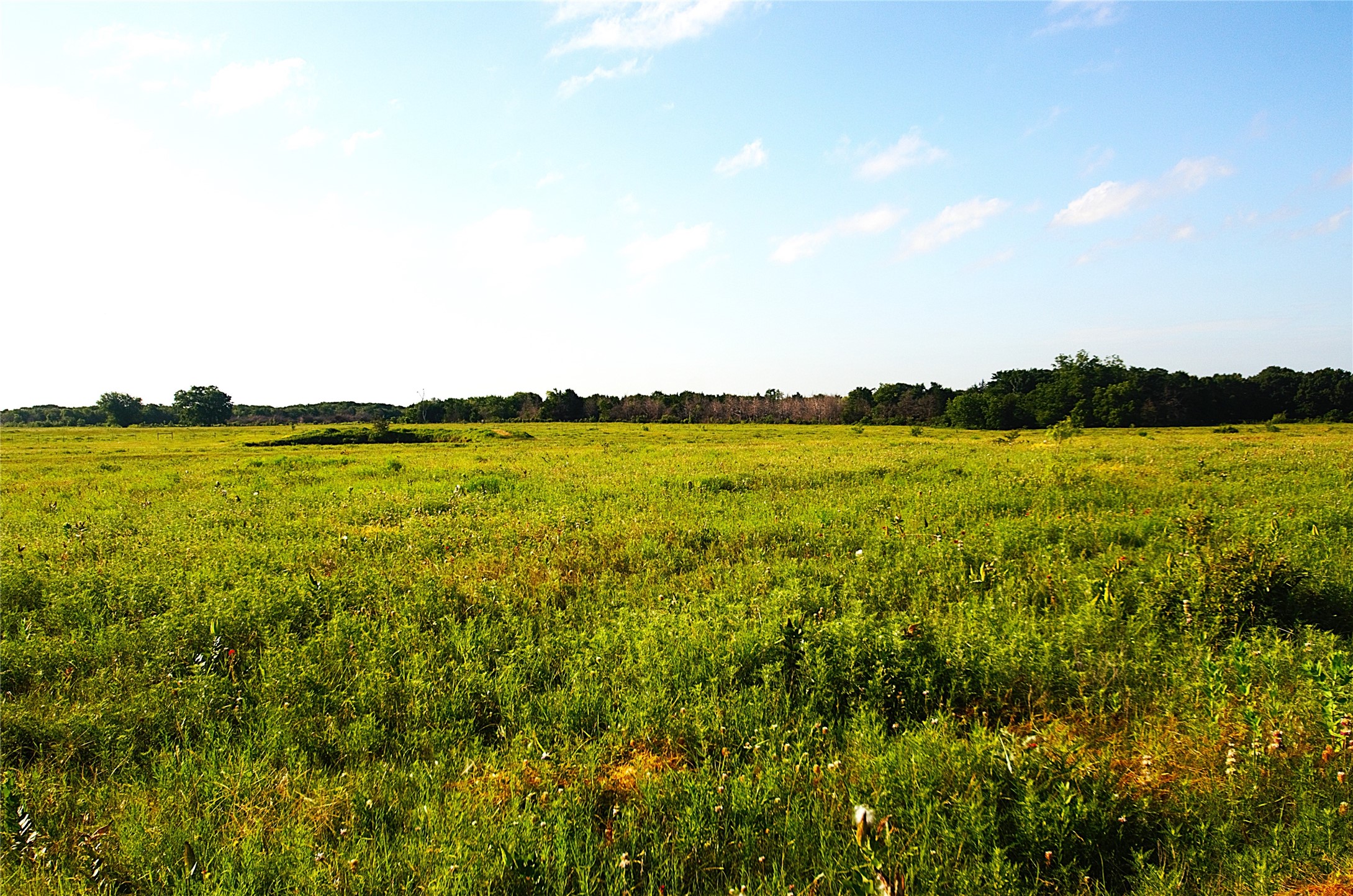 316 Flowing Wells Pottsboro TX 75076