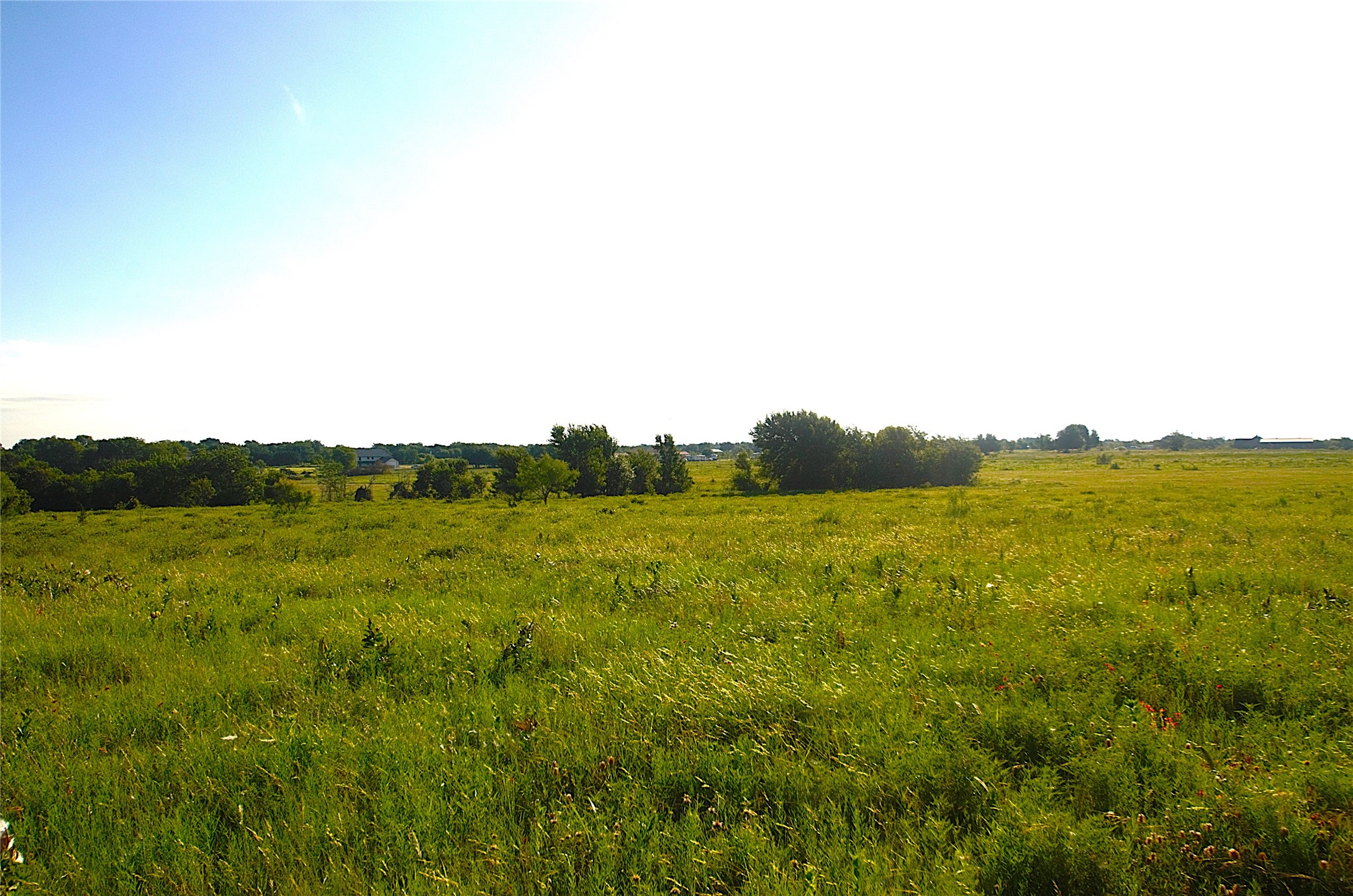 316 Flowing Wells Pottsboro TX 75076