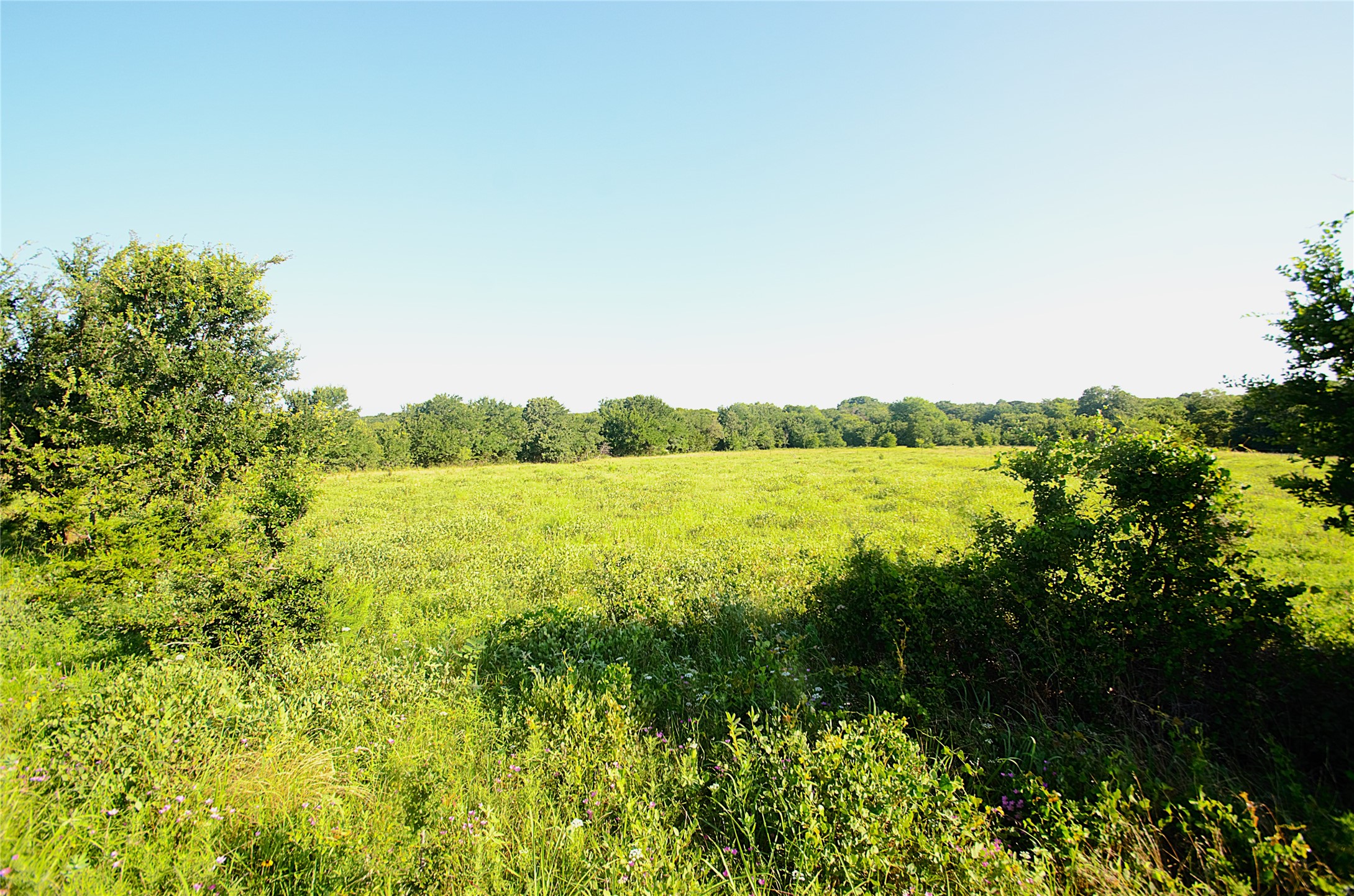 316 Flowing Wells Pottsboro TX 75076