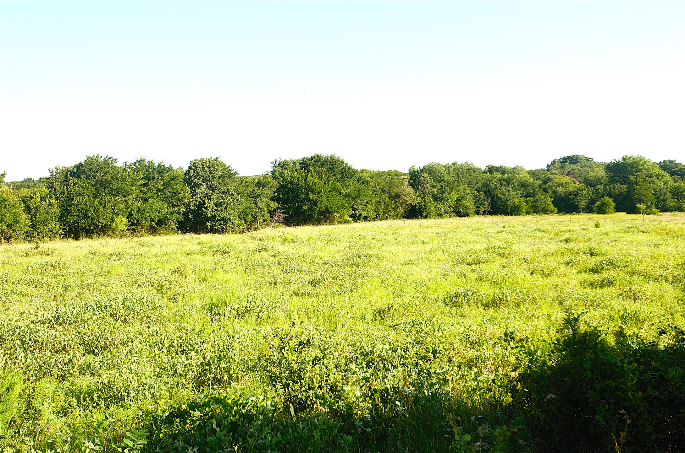 316 Flowing Wells Pottsboro TX 75076