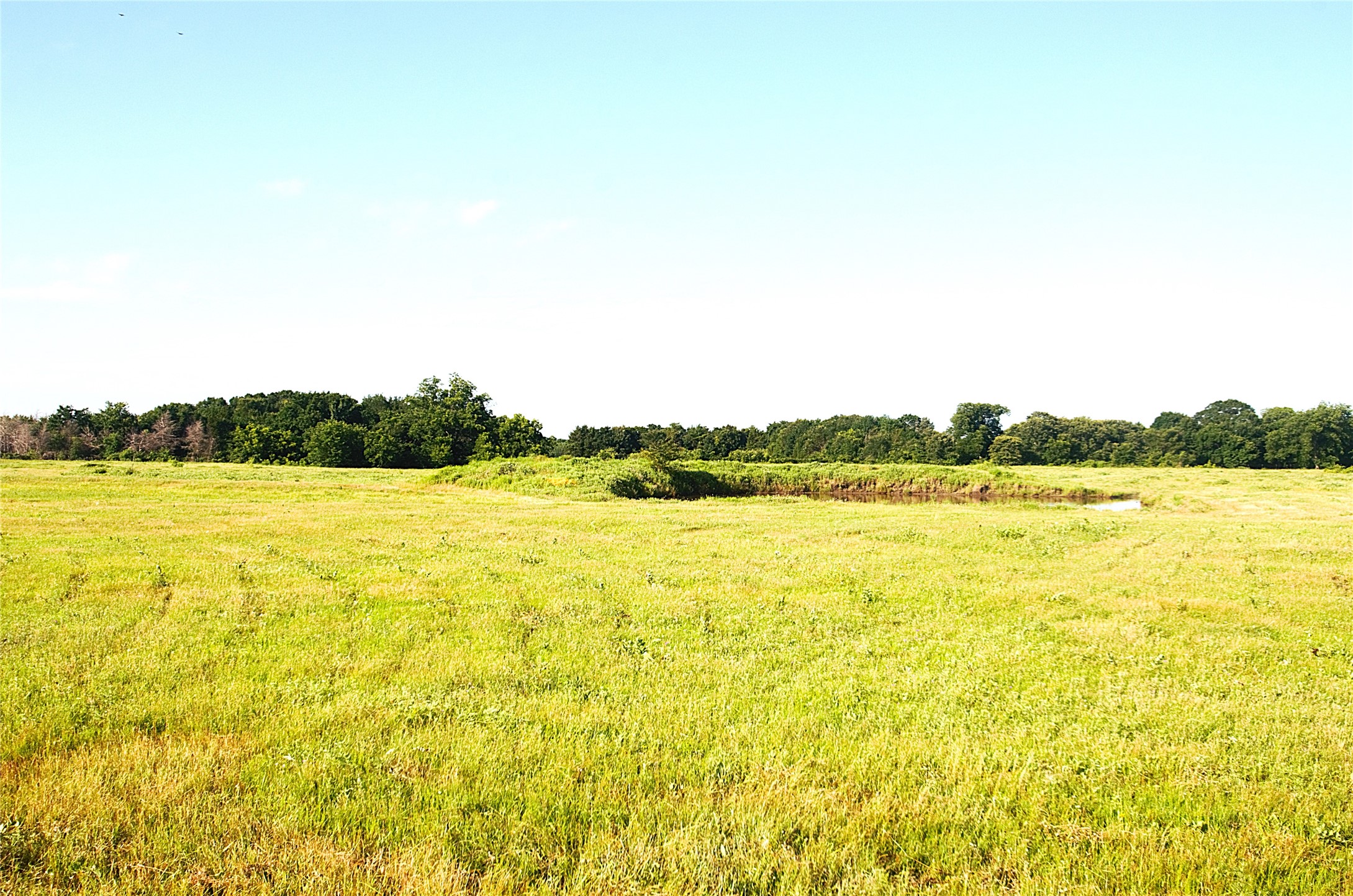 316 Flowing Wells Pottsboro TX 75076
