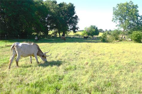 316 Flowing Wells Pottsboro TX 75076