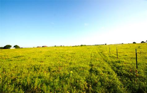 316 Flowing Wells Pottsboro TX 75076
