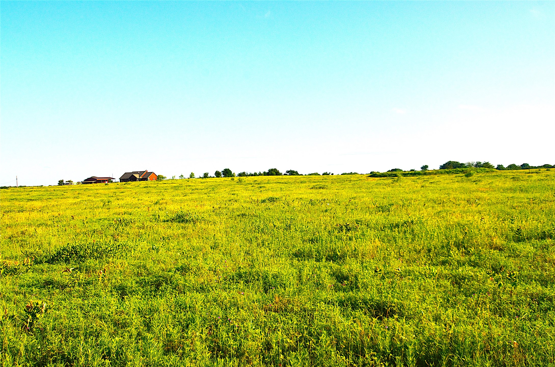 316 Flowing Wells Pottsboro TX 75076