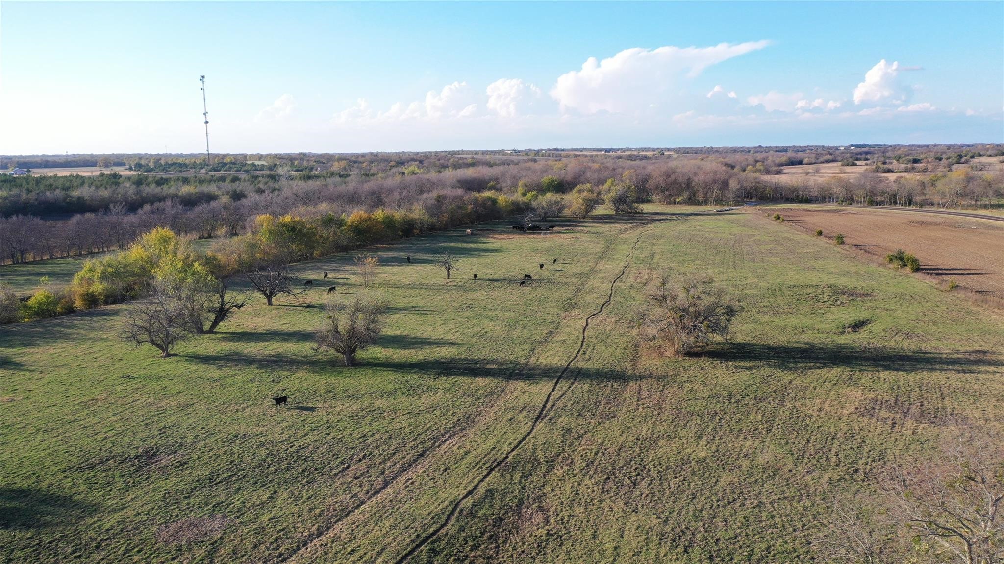 000 Tbd Fm 272 Leonard TX 75452