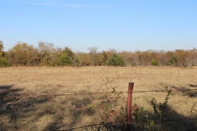 Tbd 3415 Wills Point TX 75169