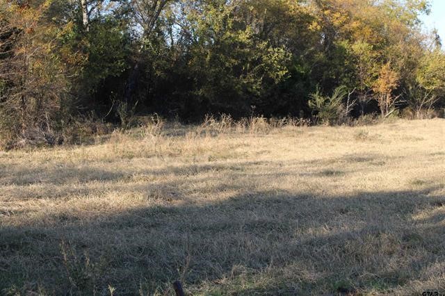 Tbd 3415 Wills Point TX 75169