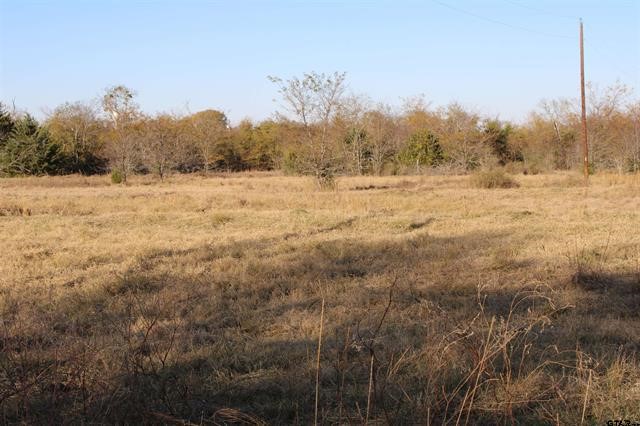 Tbd 3415 Wills Point TX 75169