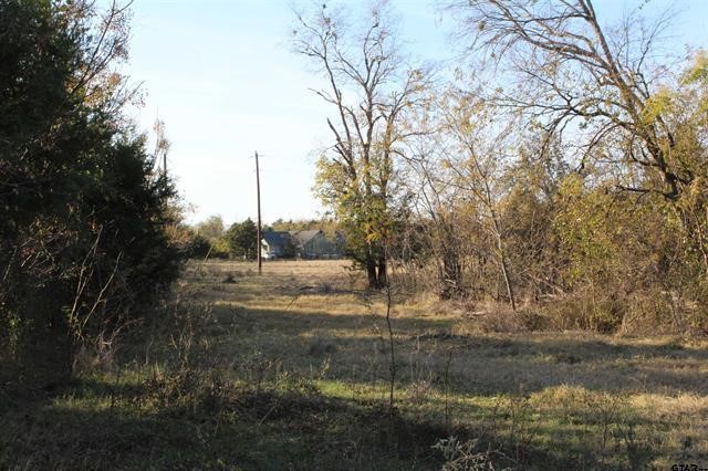 Tbd 3415 Wills Point TX 75169